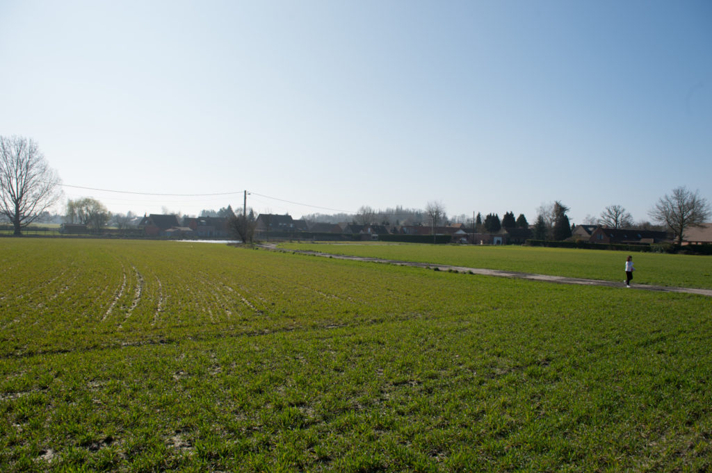 Leers, ville à la campagne ? Pour un urbanisme contrôlé. Leers Campagne 1024x681