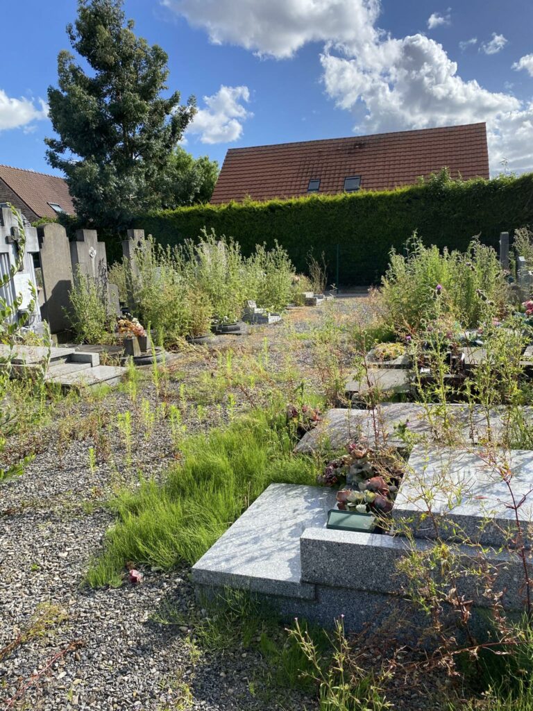 Cimetière de Leers - Cimetière de Wasquehal : Leers un vrai désastre ! Messenger Creation 247fe383 Ea91 4a0a 822b A941cb74b87b 768x1024