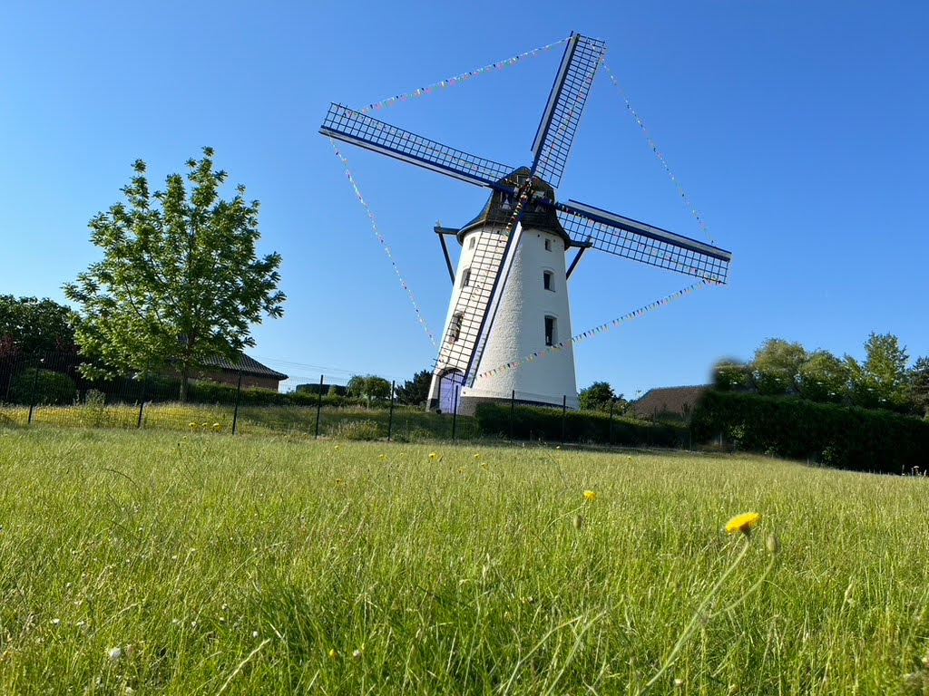moulin de leers soleil printemps moulin de leers soleil printemps